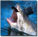 CannonFodder's Avatar